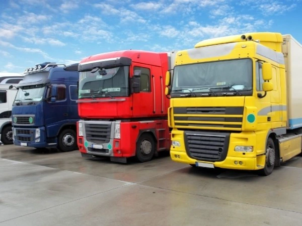 Bursa Domaniç Nakliye